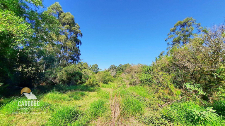 Imagem Fazenda à Venda, 100.000 m² em águas Claras - Viamão Imagem Fazenda à Venda, 100.000 m² em águas Claras - Viamão