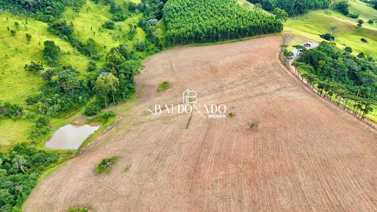 Imagem Terreno à Venda, 493.300 m² em Centro - Toledo Imagem Terreno à Venda, 493.300 m² em Centro - Toledo