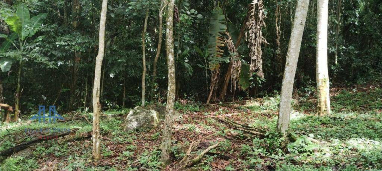 Imagem Terreno à Venda, 471 m² em Córrego Grande - Florianópolis