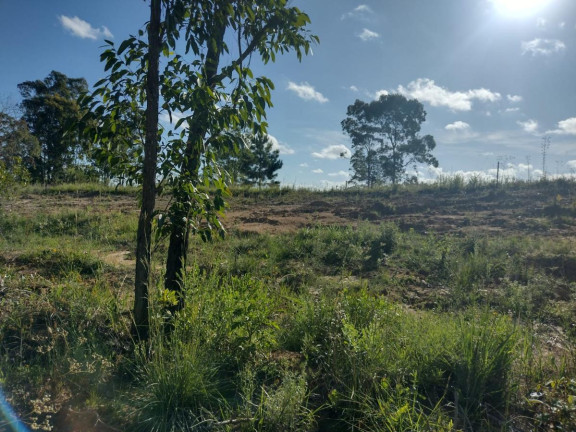 Imagem Terreno à Venda, 20.000 m² em Alto Perequê - Arroio Do Padre