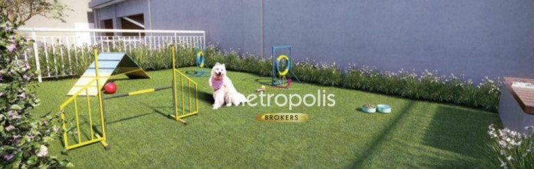 Imagem Apartamento com 3 Quartos à Venda, 81 m² em Vila Isa - São Paulo Imagem Apartamento com 3 Quartos à Venda, 81 m² em Vila Isa - São Paulo