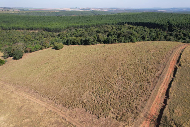 Imagem Chácara à Venda, 15 m² em Zona Rural - Santo Antônio Da Alegria Imagem Chácara à Venda, 15 m² em Zona Rural - Santo Antônio Da Alegria