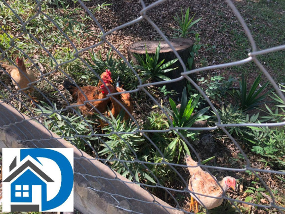 Imagem Chácara com 2 Quartos à Venda, 4.000 m² em Centro - Araçoiaba Da Serra Imagem Chácara com 2 Quartos à Venda, 4.000 m² em Centro - Araçoiaba Da Serra