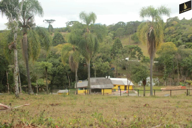 Imagem Imóvel com 3 Quartos à Venda, 16.200 m² em Zona Rural - Quatro Barras Imagem Imóvel com 3 Quartos à Venda, 16.200 m² em Zona Rural - Quatro Barras