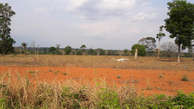 Imagem Fazenda à Venda, 242 m² em Zona Rural - Itaúba Imagem Fazenda à Venda, 242 m² em Zona Rural - Itaúba