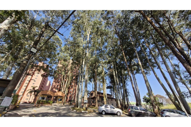 Imagem Apartamento com 3 Quartos à Venda, 64 m² em Campo Grande - São Paulo Imagem Apartamento com 3 Quartos à Venda, 64 m² em Campo Grande - São Paulo