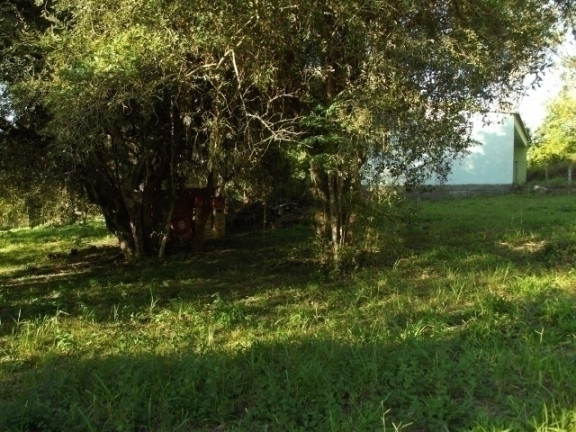 Imagem Casa com 2 Quartos à Venda, 500 m² em águas Claras - Viamão