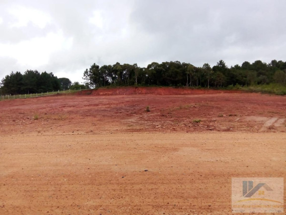 Imagem Terreno à Venda, 4.411 m² em Campo Largo Da Roseira - São José Dos Pinhais