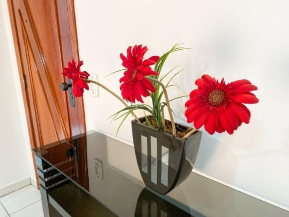 Imagem Apartamento com 1 Quarto à Venda, 58 m² em Nova Mirim - Praia Grande
