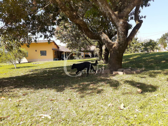 Imagem Chácara com 4 Quartos à Venda, 2 m² em área Rural De Mogi Mirim - Moji Mirim Imagem Chácara com 4 Quartos à Venda, 2 m² em área Rural De Mogi Mirim - Moji Mirim