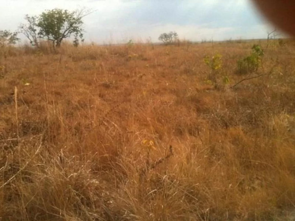 Imagem Fazenda à Venda, 1.560 m² em Centro - Nova Brasilândia Imagem Fazenda à Venda, 1.560 m² em Centro - Nova Brasilândia