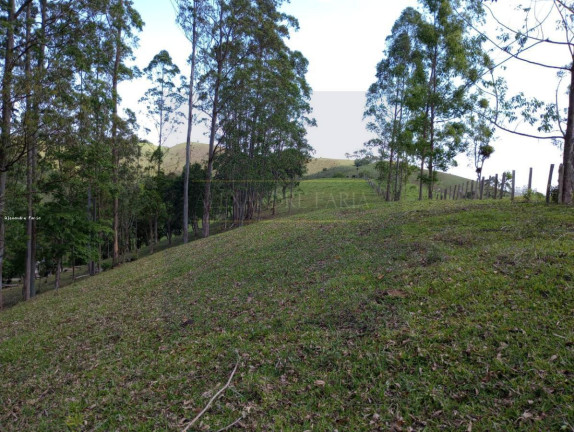 Imagem Chácara com 3 Quartos à Venda, 120 m² em Palmeiras - Natividade Da Serra Imagem Chácara com 3 Quartos à Venda, 120 m² em Palmeiras - Natividade Da Serra