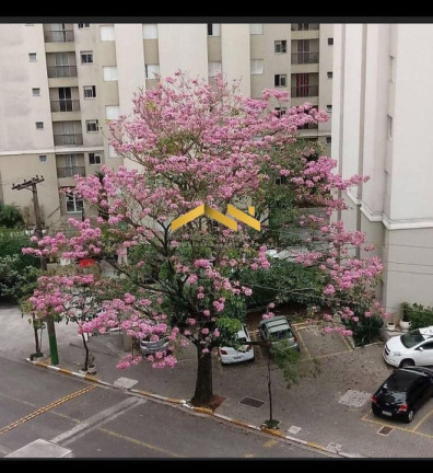 Imagem Apartamento com 2 Quartos à Venda, 51 m² em Campo Limpo - São Paulo Imagem Apartamento com 2 Quartos à Venda, 51 m² em Campo Limpo - São Paulo
