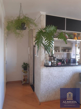 Imagem Apartamento com 3 Quartos à Venda, 65 m² em Jardim São Luís - São Paulo