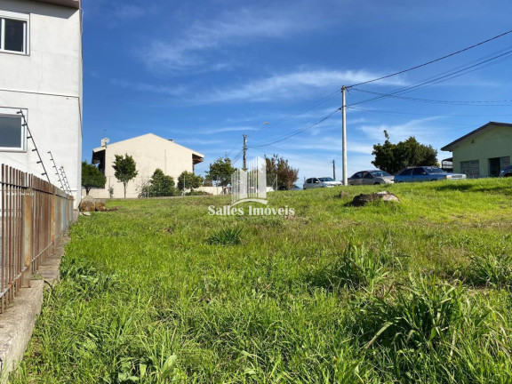Imagem Terreno à Venda, 435 m² em Bela Vista - Caxias Do Sul Imagem Terreno à Venda, 435 m² em Bela Vista - Caxias Do Sul