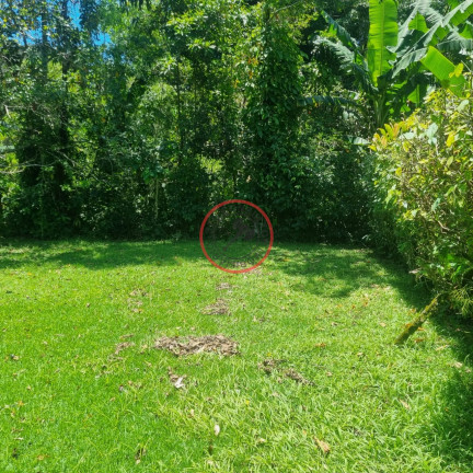 Imagem Casa com 2 Quartos à Venda, 150 m² em Boiçucanga - São Sebastião Imagem Casa com 2 Quartos à Venda, 150 m² em Boiçucanga - São Sebastião