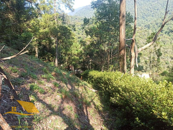 Imagem Chácara com 3 Quartos à Venda, 150 m² em Theodoro De Oliveira - Nova Friburgo Imagem Chácara com 3 Quartos à Venda, 150 m² em Theodoro De Oliveira - Nova Friburgo