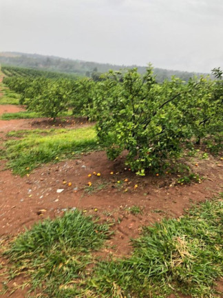 Imagem Chácara à Venda, 14 m² em Rural - águas De Santa Bárbara