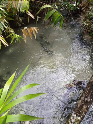 Imagem Chácara com 2 Quartos à Venda, 2.500 m² em Nova Lacerda