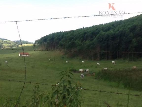 Imagem Fazenda à Venda, 100 m² em Santa Joana - Santa Branca Imagem Fazenda à Venda, 100 m² em Santa Joana - Santa Branca