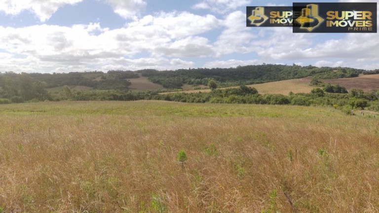 Imagem Imóvel com 2 Quartos à Venda, 240.000 m² em Centro - Morro Redondo