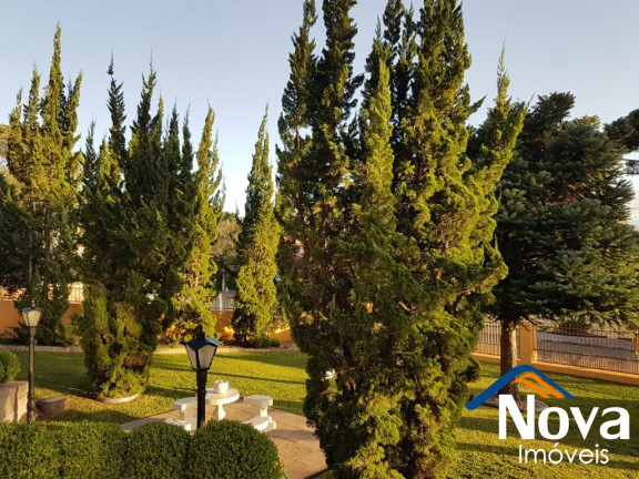 Imagem Imóvel com 4 Quartos à Venda, em Juriti - Nova Petrópolis Imagem Imóvel com 4 Quartos à Venda, em Juriti - Nova Petrópolis
