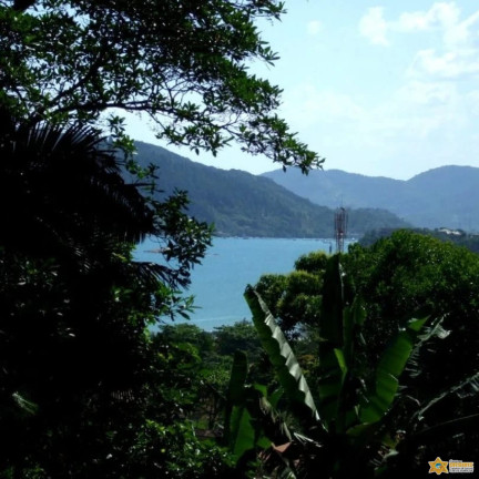 Imagem Terreno à Venda, 1.560 m² em Enseada - Ubatuba Imagem Terreno à Venda, 1.560 m² em Enseada - Ubatuba