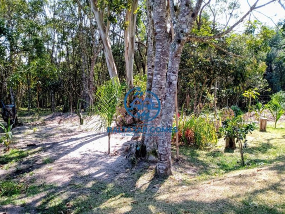 Imagem Imóvel com 3 Quartos à Venda, 1.000 m² em Centro - Biritiba Mirim Imagem Imóvel com 3 Quartos à Venda, 1.000 m² em Centro - Biritiba Mirim