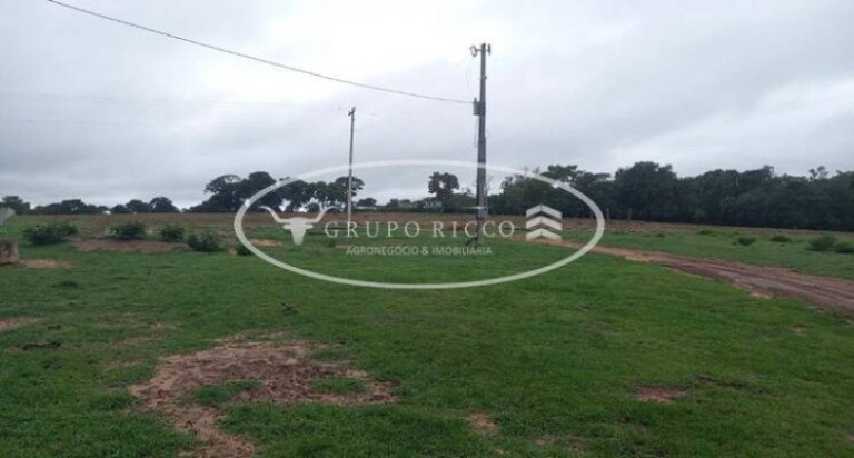 Imagem Fazenda à Venda, 150 m² em Zona Rural - Bom Jardim De Goiás Imagem Fazenda à Venda, 150 m² em Zona Rural - Bom Jardim De Goiás