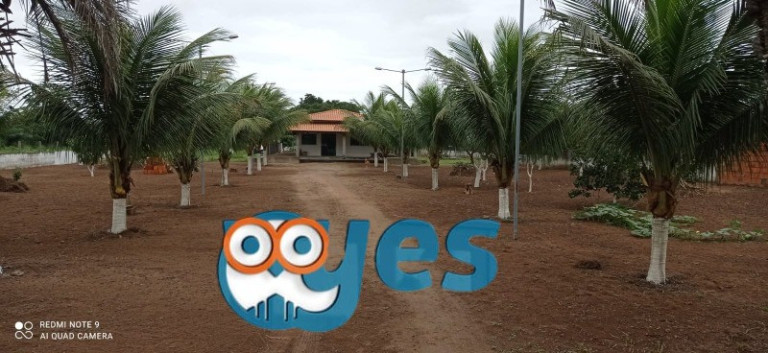 Imagem Imóvel com 3 Quartos à Venda, 10.000 m² em Asa Branca - Feira De Santana Imagem Imóvel com 3 Quartos à Venda, 10.000 m² em Asa Branca - Feira De Santana
