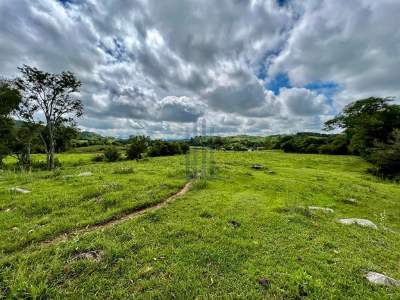 Imagem Terreno à Venda, 188.000 m² em Zona Rural - São João Do Polêsine Imagem Terreno à Venda, 188.000 m² em Zona Rural - São João Do Polêsine