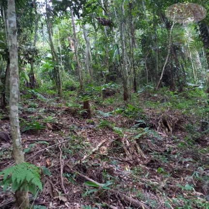 Imagem Terreno à Venda, 3.504 m² em Represa - Ribeirão Pires