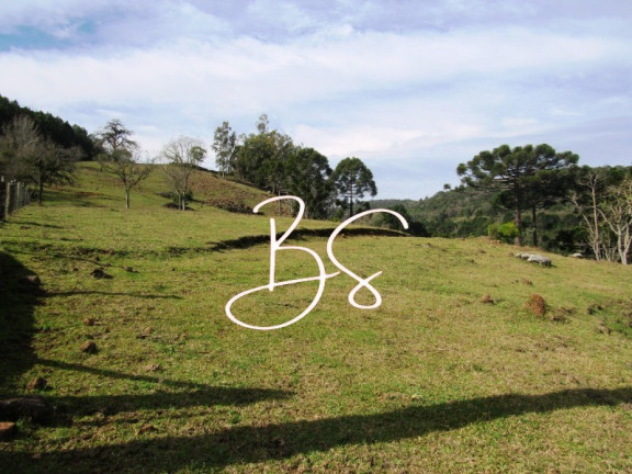 Imagem Imóvel com 2 Quartos à Venda, em Linha Bonita - Gramado Imagem Imóvel com 2 Quartos à Venda, em Linha Bonita - Gramado