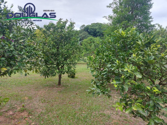 Imagem Terreno à Venda,  em águas Claras - Viamão