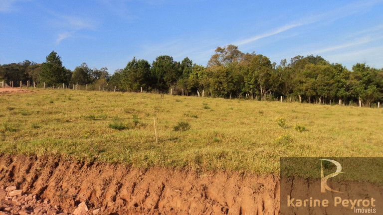 Imagem Terreno à Venda, 3.000 m² em Fazenda São Borja - São Leopoldo
