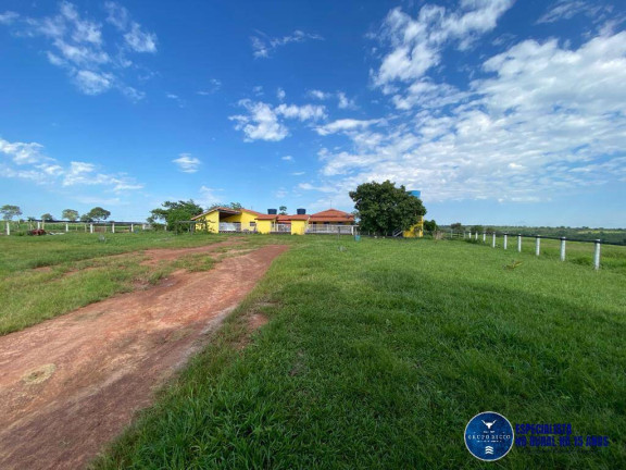Imagem Fazenda à Venda, 121 m² em Zona Rural - Torixoréu Imagem Fazenda à Venda, 121 m² em Zona Rural - Torixoréu