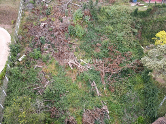 Imagem Terreno à Venda, 1.110 m² em Região De Descansópolis - Campos Do Jordão Imagem Terreno à Venda, 1.110 m² em Região De Descansópolis - Campos Do Jordão