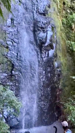 Imagem Chácara à Venda, 144.000 m² em Zona Rural - Três Coroas Imagem Chácara à Venda, 144.000 m² em Zona Rural - Três Coroas