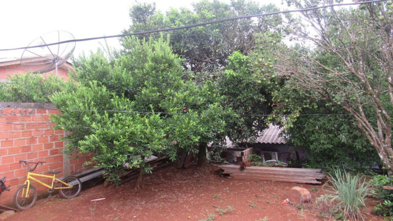 Imagem Casa com 1 Quarto à Venda, 36 m² em Santa Rita - Concórdia Imagem Casa com 1 Quarto à Venda, 36 m² em Santa Rita - Concórdia