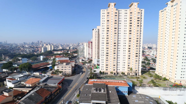 Imagem Imóvel com 4 Quartos à Venda, 164 m² em Santana - São Paulo Imagem Imóvel com 4 Quartos à Venda, 164 m² em Santana - São Paulo