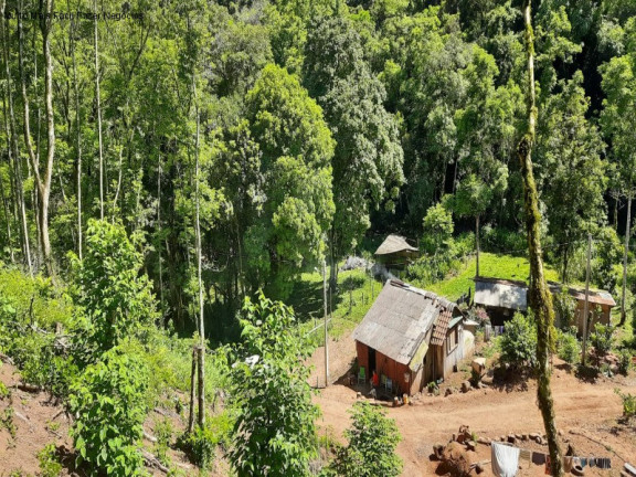Imóvel com 2 Quartos à Venda, 50 m² em Linha Pirajá Baixa - Nova Petrópolis