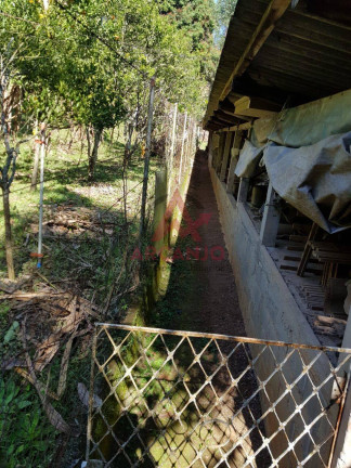 Imagem Chácara com 3 Quartos à Venda, 7.000 m² em Santa Isabel - Santa Isabel Imagem Chácara com 3 Quartos à Venda, 7.000 m² em Santa Isabel - Santa Isabel