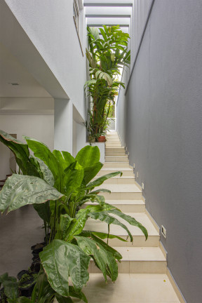 Imagem Sobrado com 4 Quartos à Venda, 550 m² em Jardim São Caetano - São Caetano Do Sul Imagem Sobrado com 4 Quartos à Venda, 550 m² em Jardim São Caetano - São Caetano Do Sul