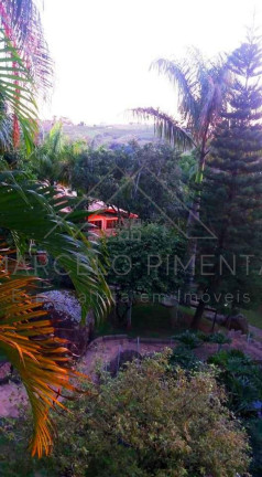 Imagem Imóvel com 4 Quartos à Venda, 5.000 m² em Chácaras Alpina - Valinhos Imagem Imóvel com 4 Quartos à Venda, 5.000 m² em Chácaras Alpina - Valinhos