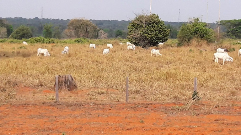 Imagem Fazenda à Venda, 242 m² em Zona Rural - Itaúba Imagem Fazenda à Venda, 242 m² em Zona Rural - Itaúba
