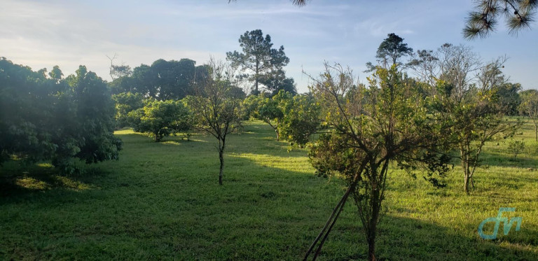 Imagem Imóvel com 4 Quartos à Venda, 36.000 m² em Itapeti - Mogi Das Cruzes Imagem Imóvel com 4 Quartos à Venda, 36.000 m² em Itapeti - Mogi Das Cruzes