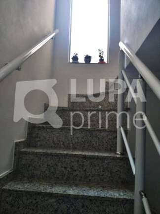 Imagem Casa com 3 Quartos à Venda, 90 m² em Vila Nova Mazzei - São Paulo Imagem Casa com 3 Quartos à Venda, 90 m² em Vila Nova Mazzei - São Paulo