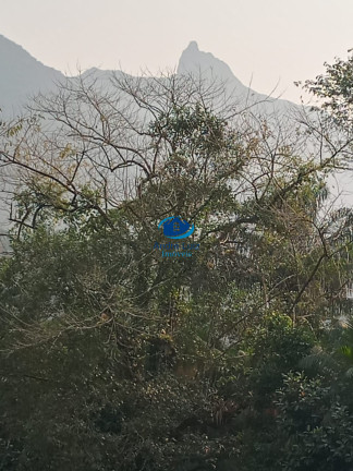 Imagem Casa com 2 Quartos à Venda, 90 m² em Corcovado - Ubatuba Imagem Casa com 2 Quartos à Venda, 90 m² em Corcovado - Ubatuba