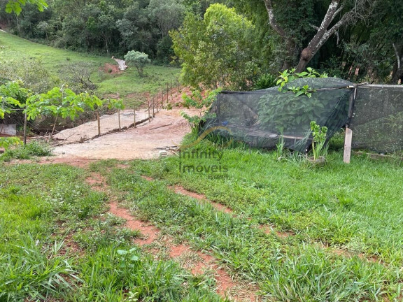 Imagem Imóvel com 3 Quartos à Venda, 8.000 m² em Satélite - Juatuba