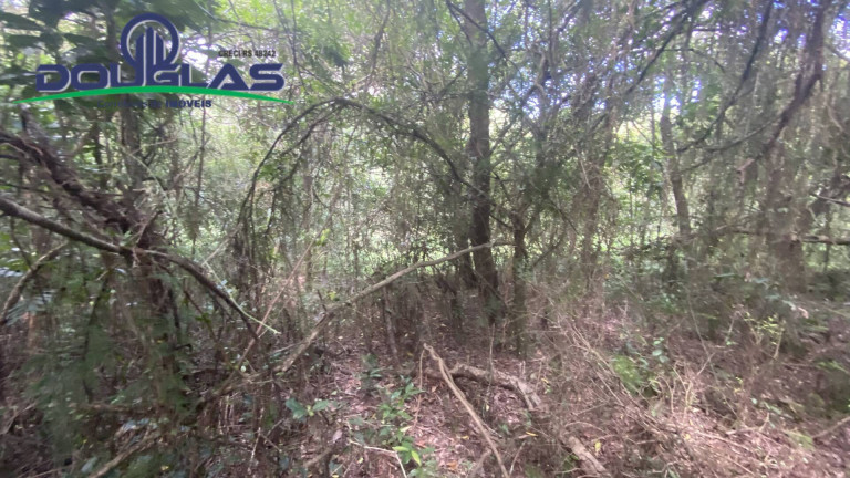 Imagem Terreno à Venda, 5.000 m² em Viamão